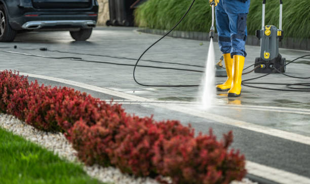 Best Roof Power Washing Services  in Elk Creek, KY