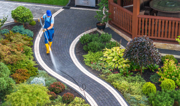 Best Exterior Home Cleaning  in Elk Creek, KY