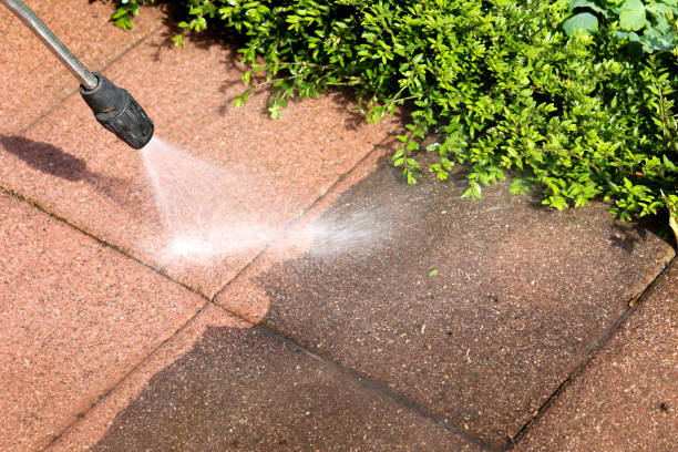Best House Pressure Washing  in Elk Creek, KY